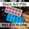 Black Ant Pills new14